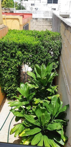 Imagen 10 de 11 de En Renta Departamento Amuebaldo En Jardines De Mérida 1 Rec, 1 Baño
