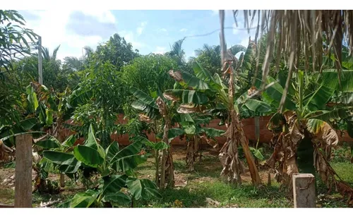 Casa Finca En Venta En Los Cedros