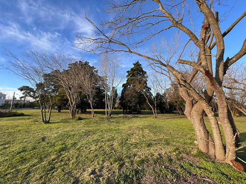 Lote En Venta En Villa Elisa Calle 407 Y 21 - Barrio Privado Las Alondras