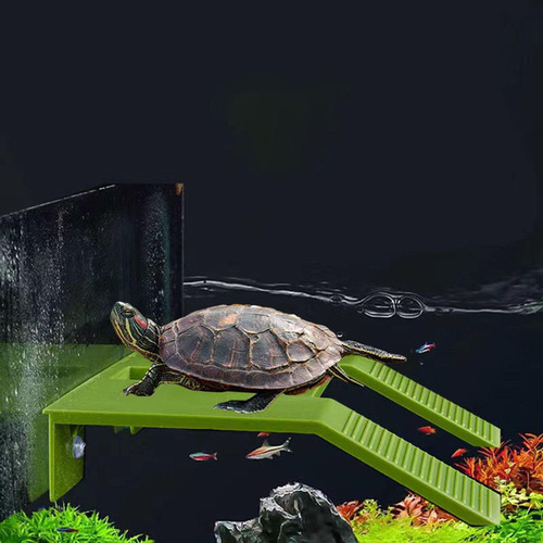 De Para Tortugas, Tanque Para Reptiles, Verde Grande