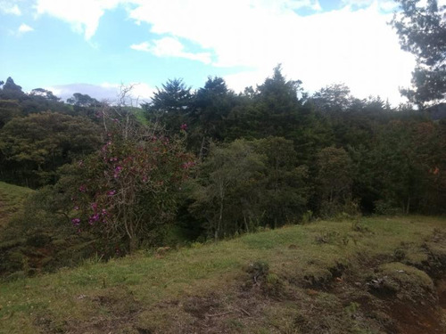 Lote En Vender En Rionegro