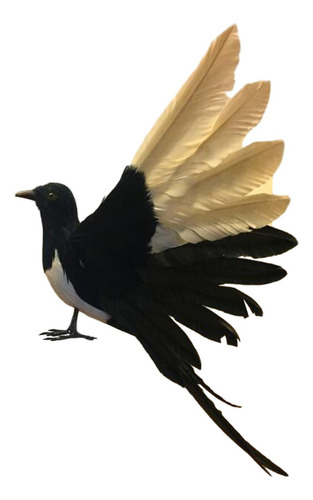 Pássaro De Simulação De Pega, Asas Abertas De 36cm