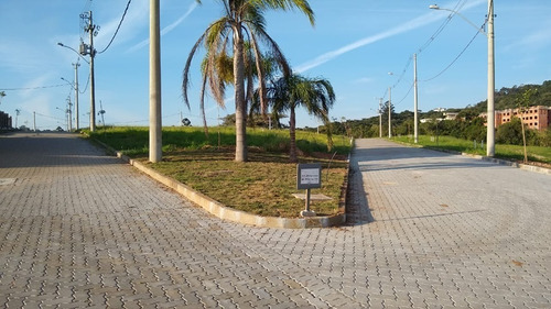 Terreno Em Campo Novo - Lu429497