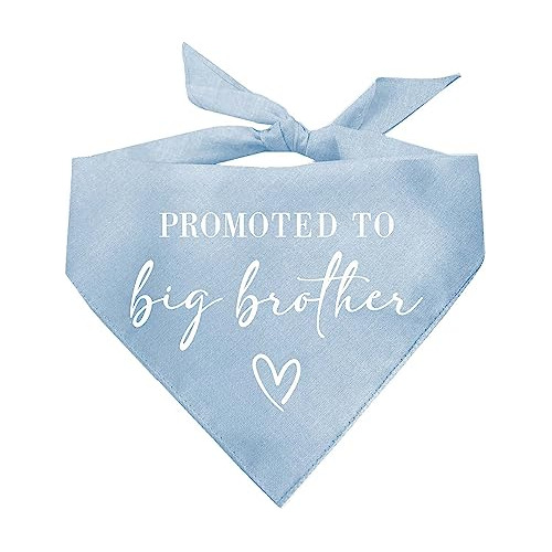 Promovido A Big Brother Gender Reveal/baby Announcement Dog
