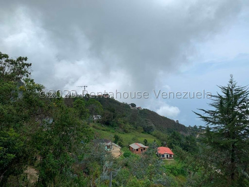 Distrito Capital; Caracas; Galipán