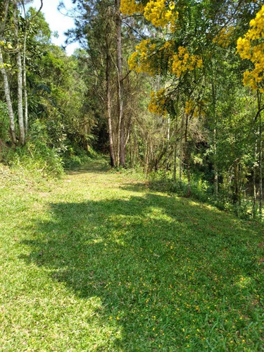 Imagem 6 de 30 de Chácara À Venda, Chácara Boa Vista Palmeiras, Suzano, Sp - Sp - Ba0003_yamamo