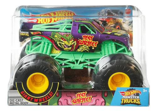 Hot Wheels Monster Trucks 1:24 Scale Test Subject