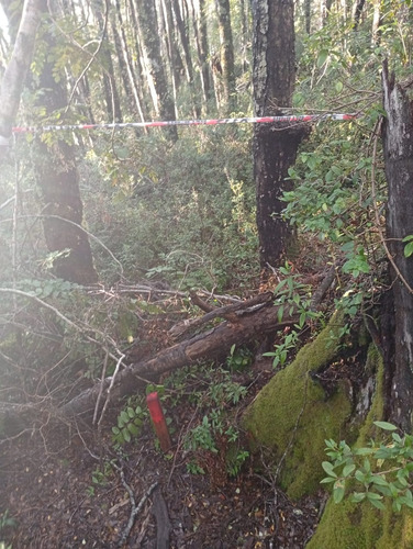 Venta Parcela Bosque Pucón Los Nevados