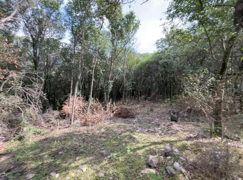 Venta Terreno Sobre Ruta E53 En Cordoba - Salsipuedes - Ideal Para Desarrollo - Financia - Permuta