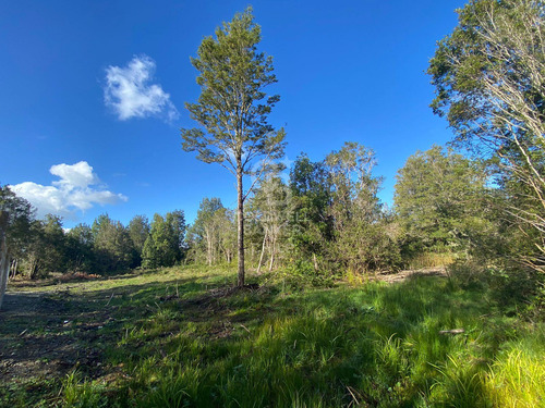Hermosa Parcela Con Abundante Bosque Nativo