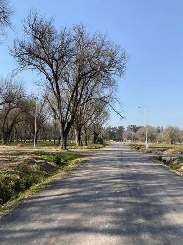 Lote En Venta En Altos De San Antonio