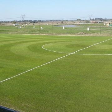 Terreno - Lagos De San Eliseo