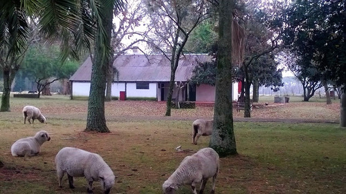 Alquiler San Jose E. Rios Casas Y Cabañas Rurales Con Piletas Colonia Mabragaña