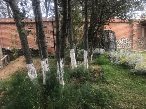 Terreno Rústico En Residencial Los Cedros