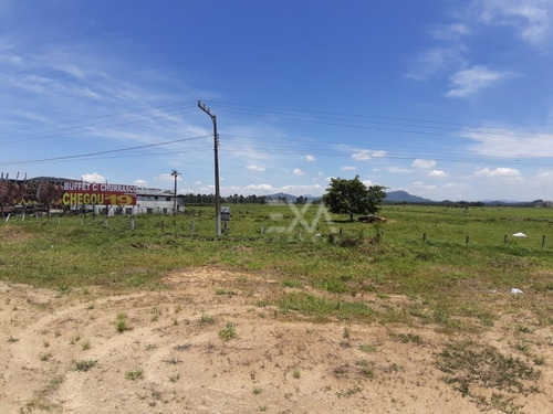 Imagem 9 de 25 de Terreno A Venda Na Br 101, Cidade De Penha (sc) - Exa Imóveis. - 0915