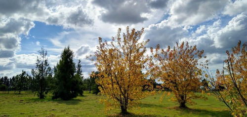 Imagen 12 de 17 de Últimos Lotes En Venta En El Club De Campo Las Hojas