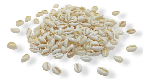 Caracoles Buzio Natural Cortados Partidos 50gr Armar Bijou