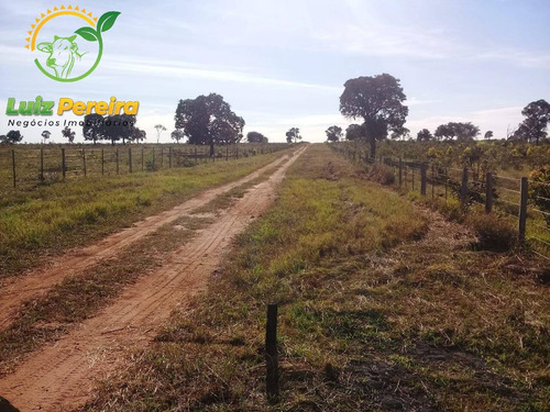 Imagem 4 de 4 de Fazenda À Venda Em Campo Grande - Ms - De 3.421 Hectares (pecuária) - 1745