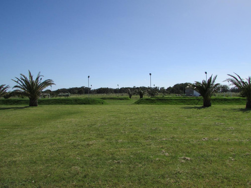 Rancho Daliah