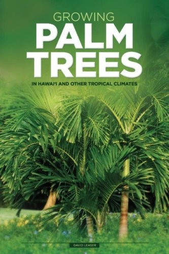 Growing Palm Trees In Hawaii And Other Tropical Climates