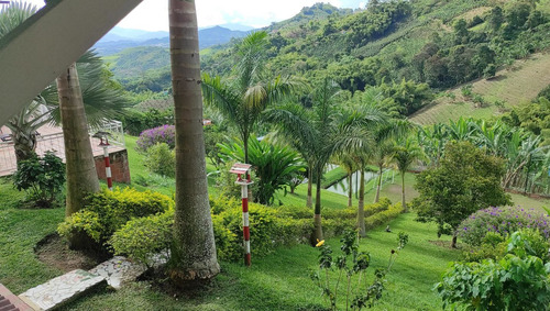 Imagen 26 de 28 de Finca De Alquiler Por Días Altagracia #2 Pereira