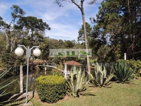 Imagem 7 de 15 de Sítio Para Venda - 2053