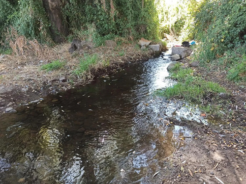 Terreno Agrícola En Venta, Campo De 60 Ha, Teno