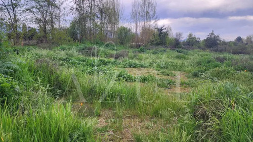 Parcelas En Coltauco 5.600 M² 100% Planas Rol Propio