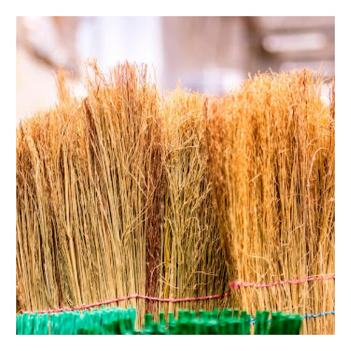 Sementes De Sorgo Vassouras 10v60 - 1kg