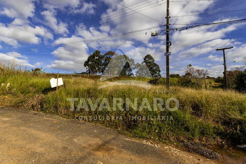 Imagem 2 de 10 de Terrenos - Ref: V5767