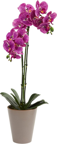 Orquídea Artificial De Phalaenopsis Moteada De Nearly Natura