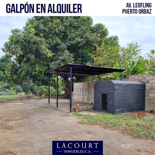 Imagen 7 de 10 de Amplio Terreno Con Galpón Ubicado En La Av. Loefling - Sector La Esperancita #al