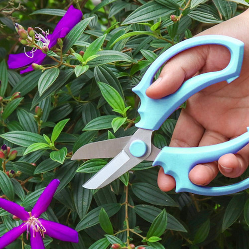Tijeras De Flores, Tijeras De Flores Profesionales, Tijeras