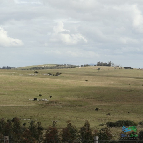 Vendo Chacra De 5 Ha A Metros De Ruta 12, Pasando Pueblo Eden, Maldonado.- Ref: 2581