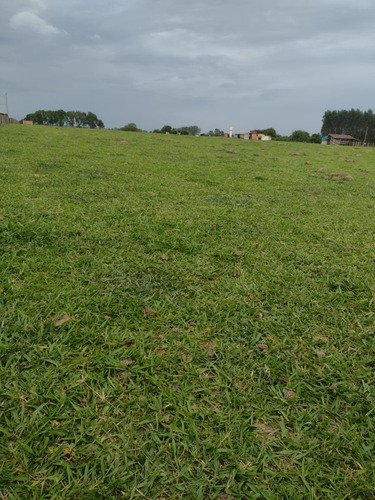 Vende Se Sítio Na Cidade De Pereiras Sp 30.000 Metros 2 Casa
