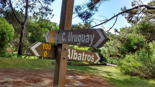 Imagen 3 de 14 de Primera Línea De Mar. Acceso Directo A La Playa.
