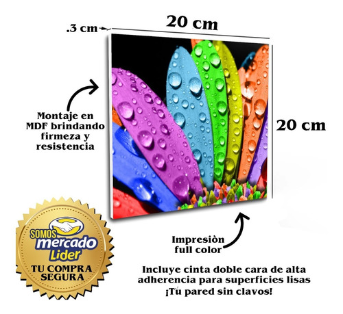 Cuadro Decorativo Frases Motivadoras Set 12 20x20 Cm | Meses sin intereses