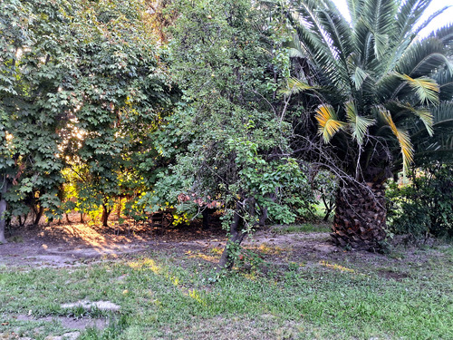 Cabaña En Parcela, Amplios Jardines