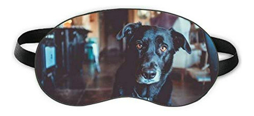 Cuidado De Ojos - Perro Negro Mascota Animal Imagen Sueño Oj
