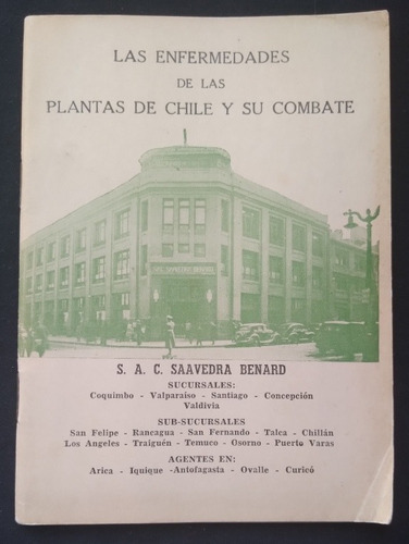 Enfermedades Plantas De Chile - S.a.g Saavedra Benard So1 J