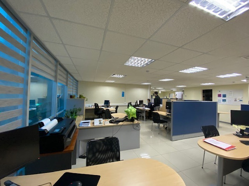 Imagen 5 de 30 de Oficinas Con Renta Paseo Libertad - Valdivia (sii Sura Indh)