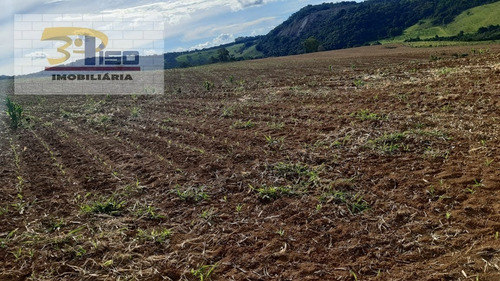Imagem 3 de 15 de Fazenda Em Centro - Pouso Alegre - 1565