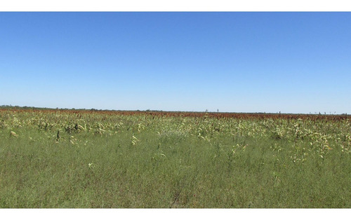 Imagen 7 de 30 de Campo Ganadero 3220 Ha - ( 420 Agrícolas ) Reconquista - Prov. De Santa Fe
