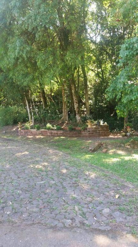 Imagem 21 de 28 de Vendo Belo Sítio No Interior De Montenegro Estrada João Xxiii - Si0016