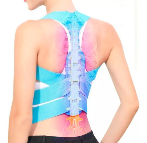 Faja Corrector Postura Soporte Espalda Lumbar Clavicula