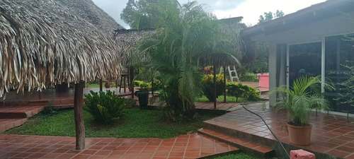 Vendo Terreno En Tinaquillo Cojedes Mg