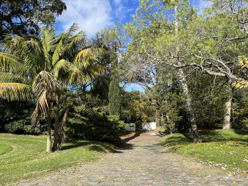 Venta De Casa En Barrio El Golf De Punta Del Este, Maravillosa Casa De Lujo