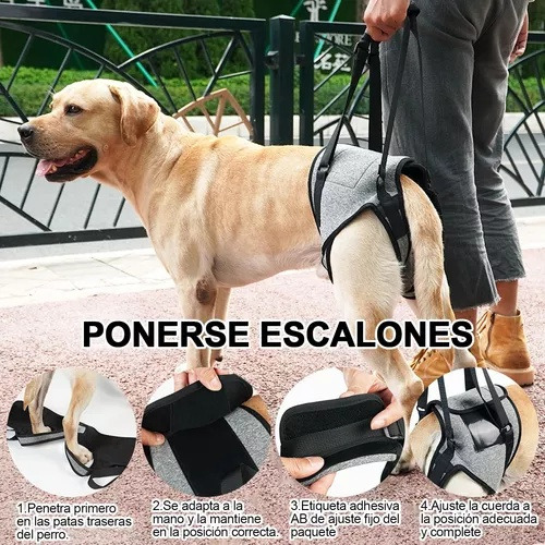 3 Arnés De Elevación Para Perro, Arnés Para Patas Traseras
