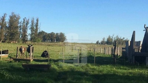 Imagen 3 de 5 de 24 Ha En Canelones