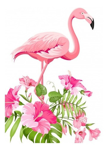 Video Invitaciones Animadas Personalizada Flamingos